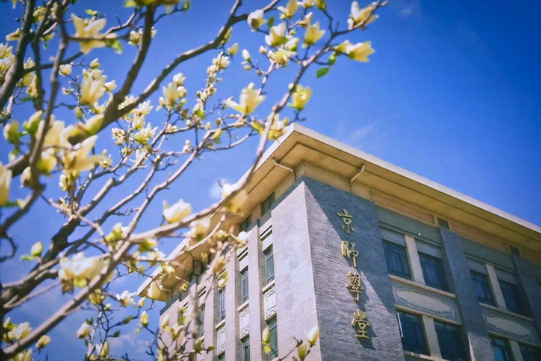 【杏坛教育经济学术沙龙2026.4.7】